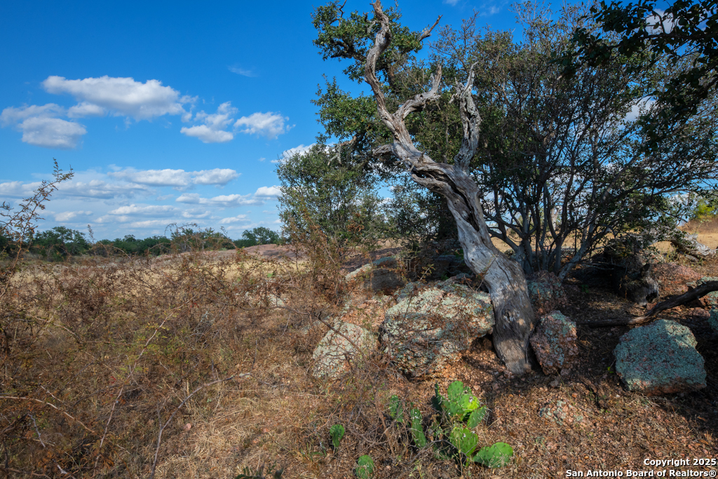 TBD BLACKJACK RD, ,  76842 — photo 1