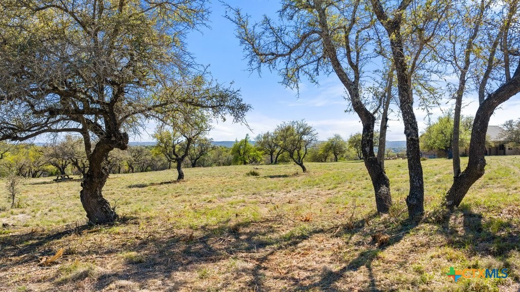Lot 19 Stone Ridge Mountain Drive, Round Mountain, TX 78663 — photo 1