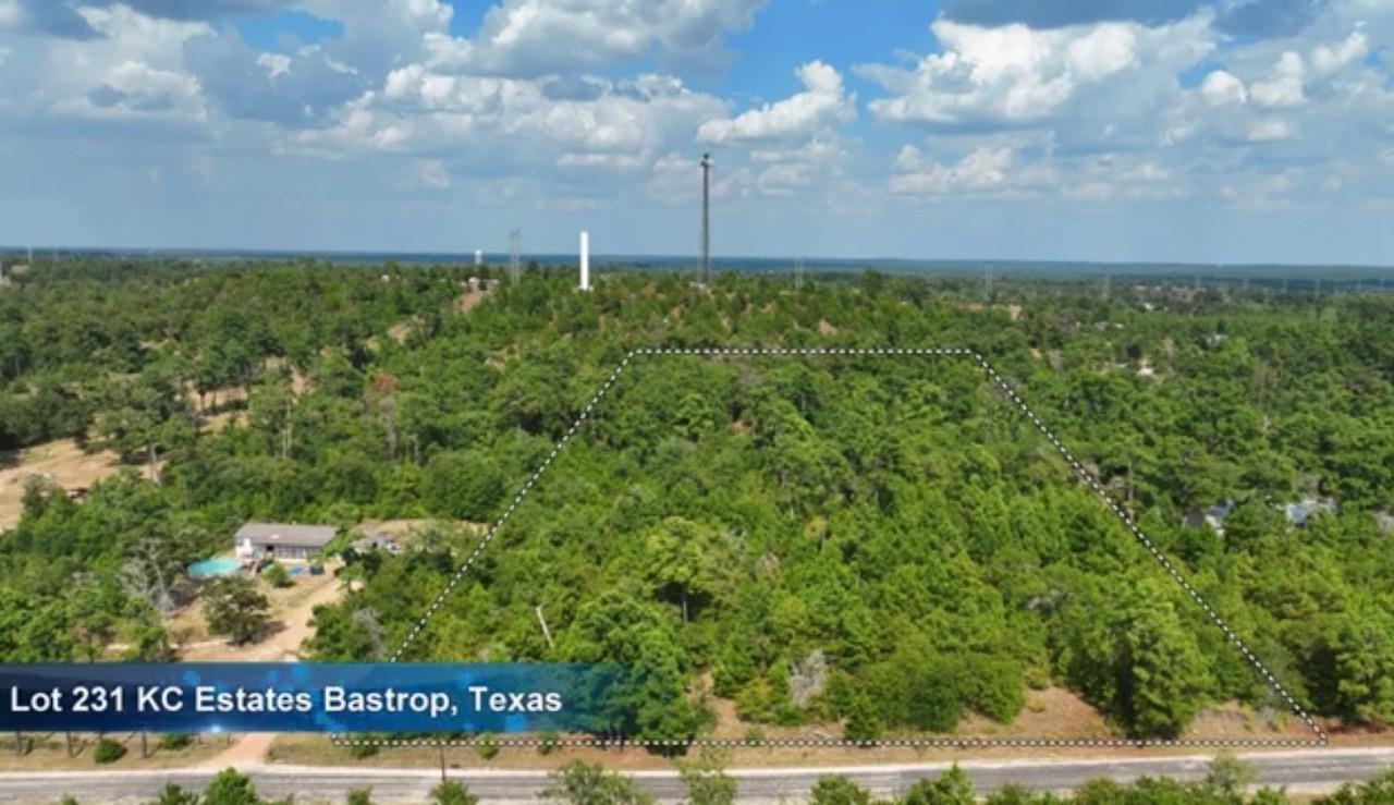 TBD PINE TREE, Bastrop, TX 78602 — photo 1