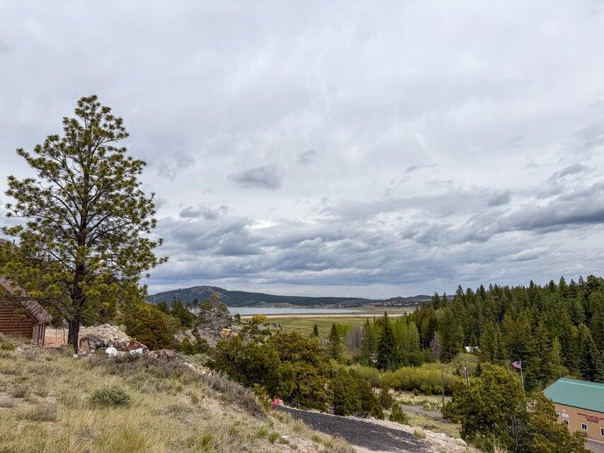 Lot 69 Forest Garden, Panguitch, UT 84759 — photo 1