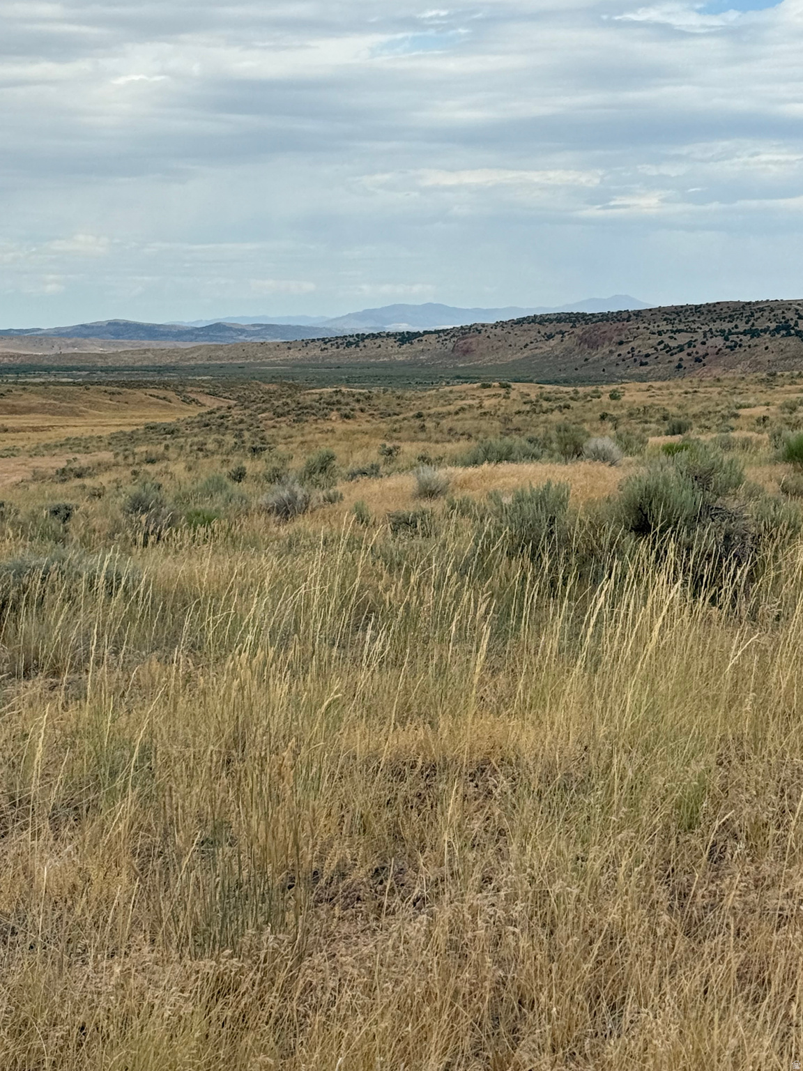 23 OLD DAM RD, Levan, UT 84639 — photo 1