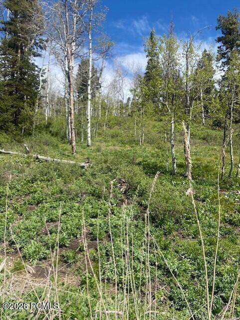 1798 W Alexander Canyon Road, Coalville, UT 84017 — photo 1