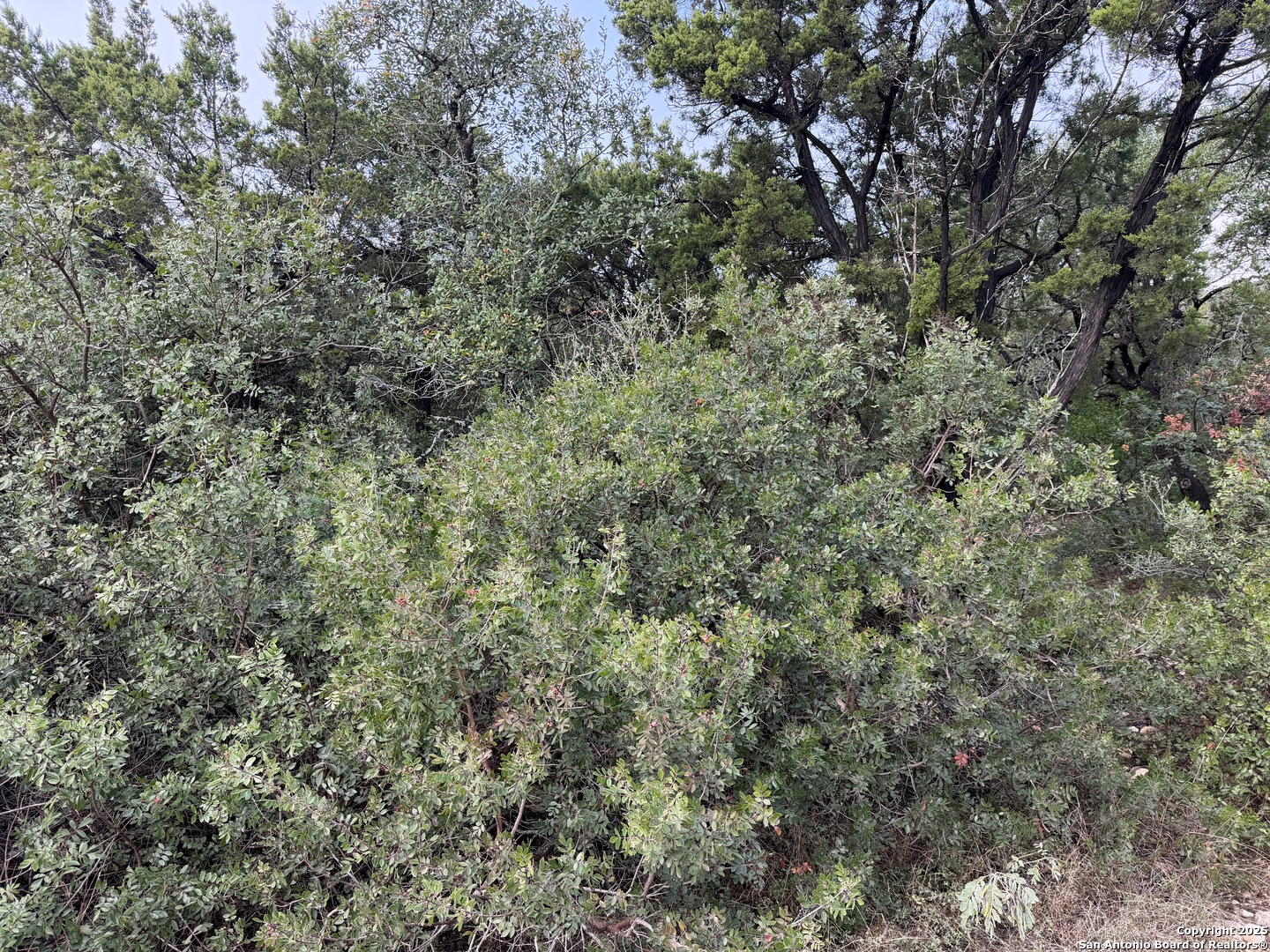 19011 Snuggle Cliff, ,  78255 — photo 1