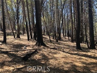 7097 High Valley, Lucerne, CA 95458 — photo 1