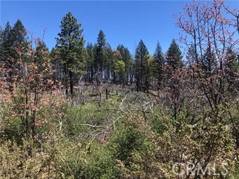 6847 High Valley, Lucerne, CA 95458 — photo 1