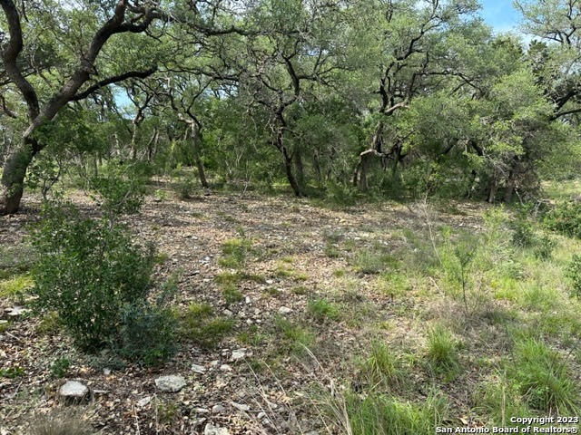 20330 Bobwhite Run, San Antonio, TX 78256 — photo 1