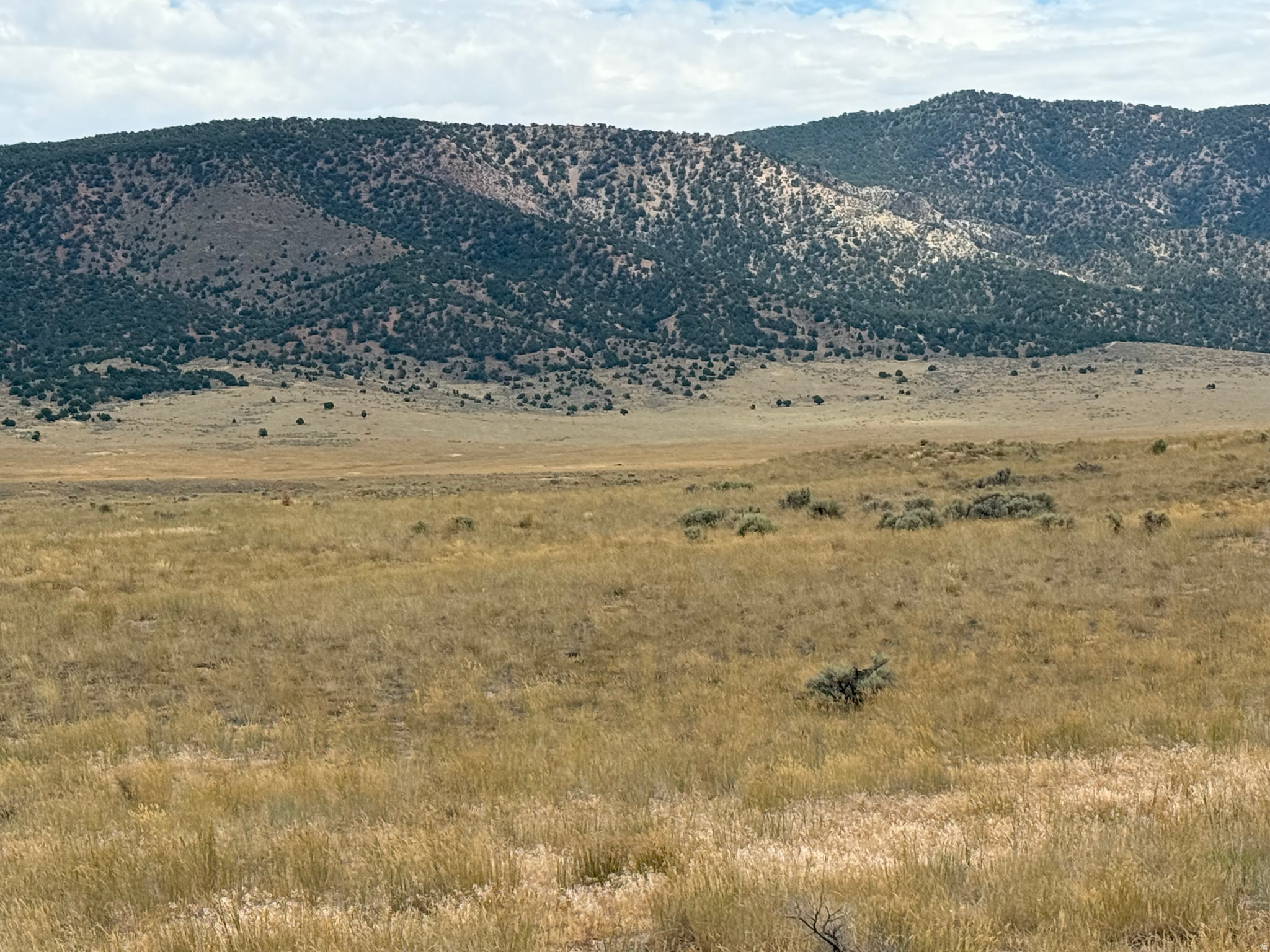 16  OLD DAM RD, Levan, UT 84639 — photo 1