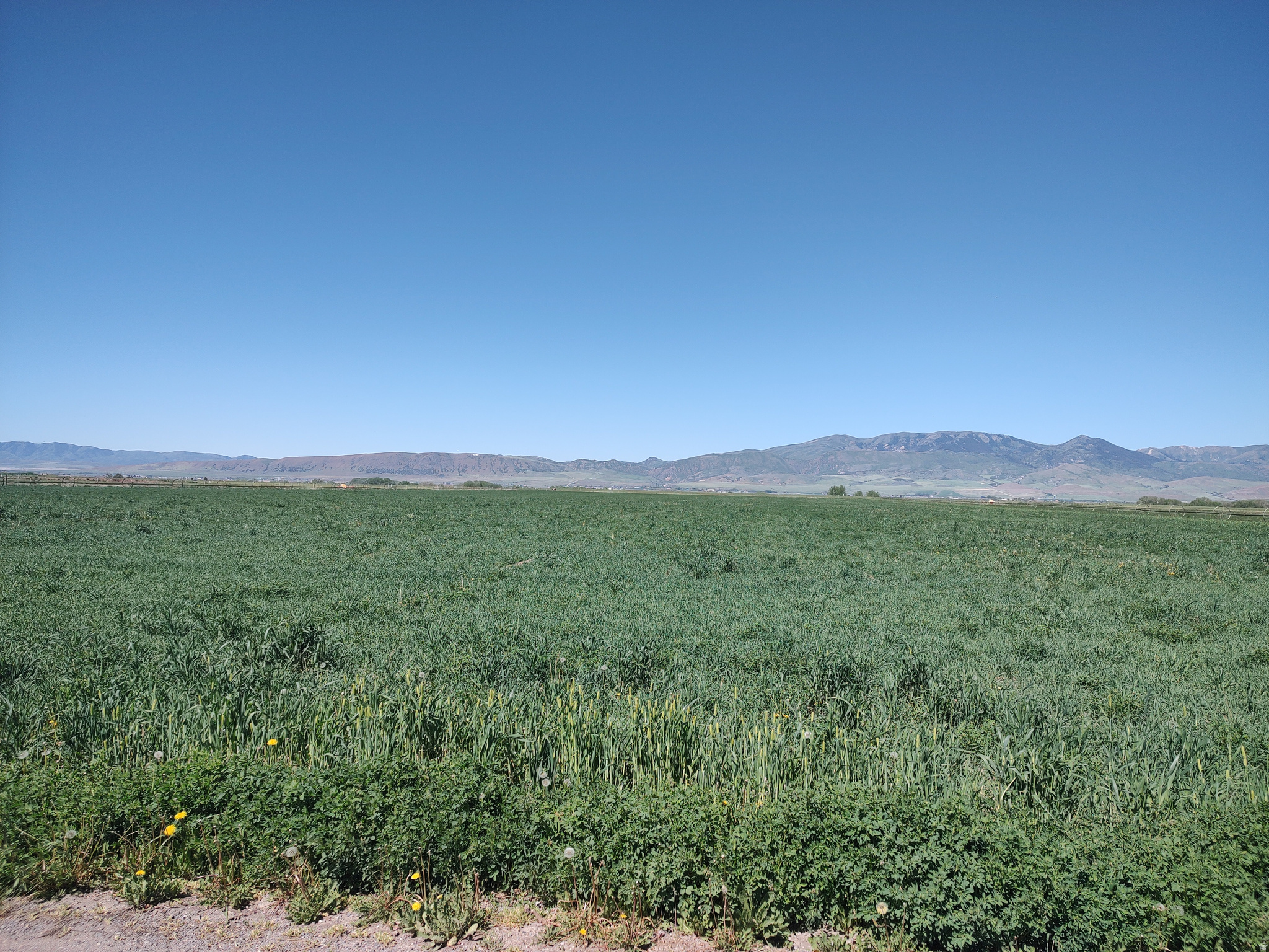 1300 N 800 W, Preston, ID 83263 — photo 1