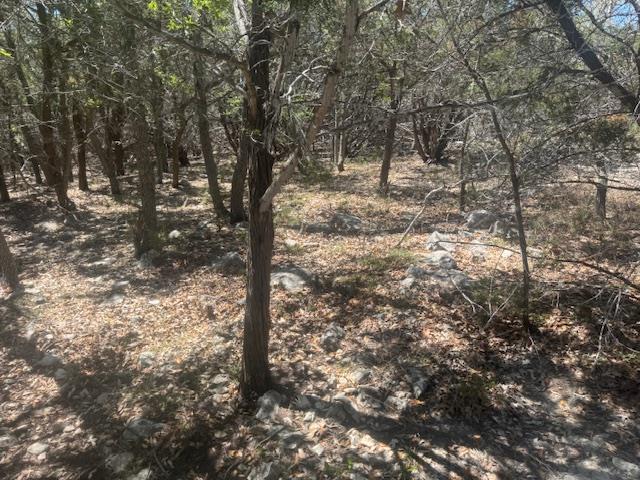 1381 Western Skies, Spring Branch, TX 78070 — photo 1
