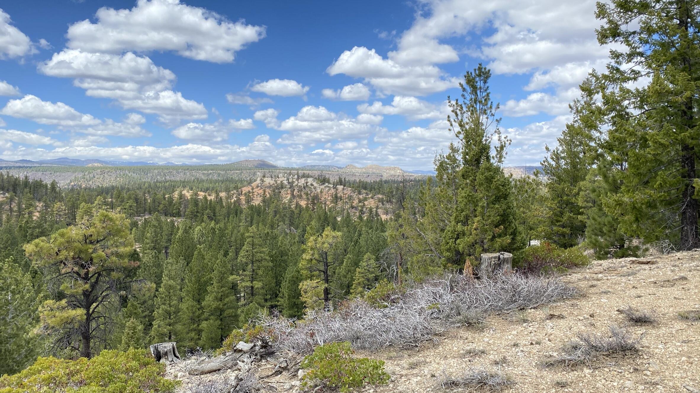 14 N. Royal Drive 14, Duck Creek, UT 84762 — photo 1