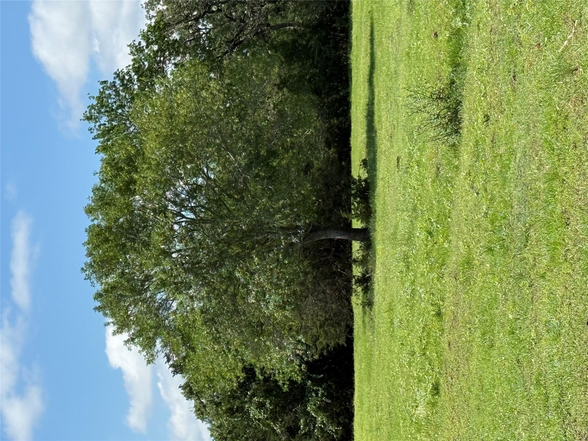 1749 FM 535, Smithville, TX 78957 — photo 1