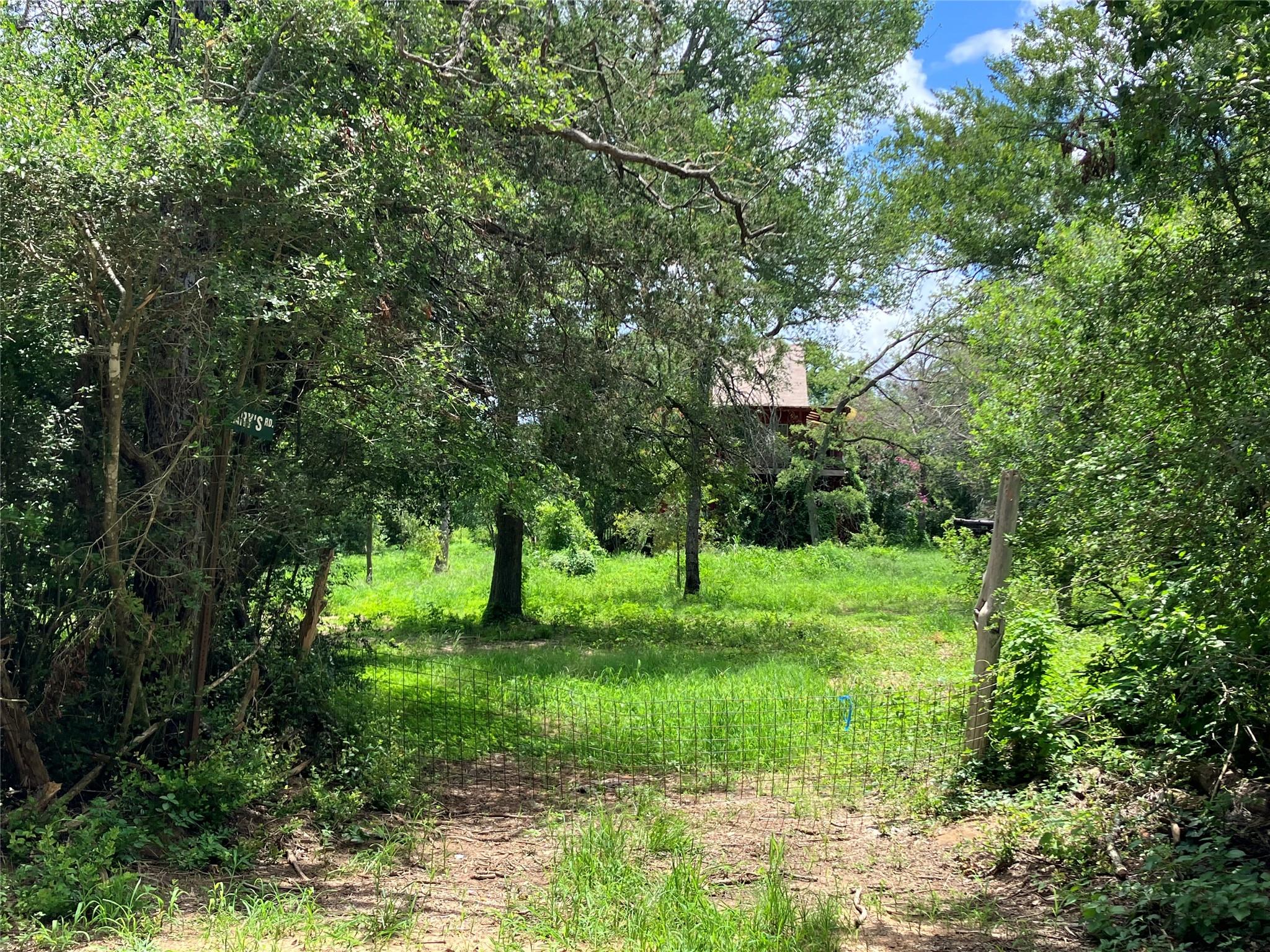 693 Saint Mary's, Rosanky, TX 78953 — photo 1