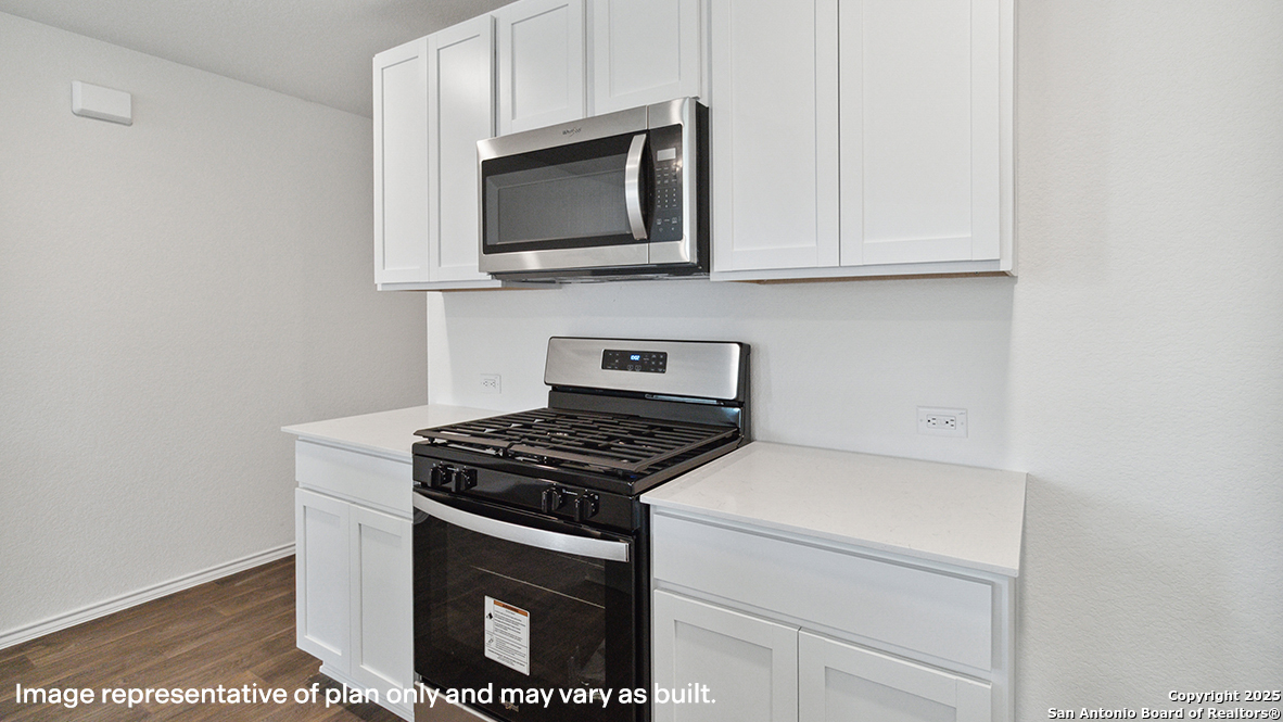 4234 Common Sage, ,  78073 — photo 1