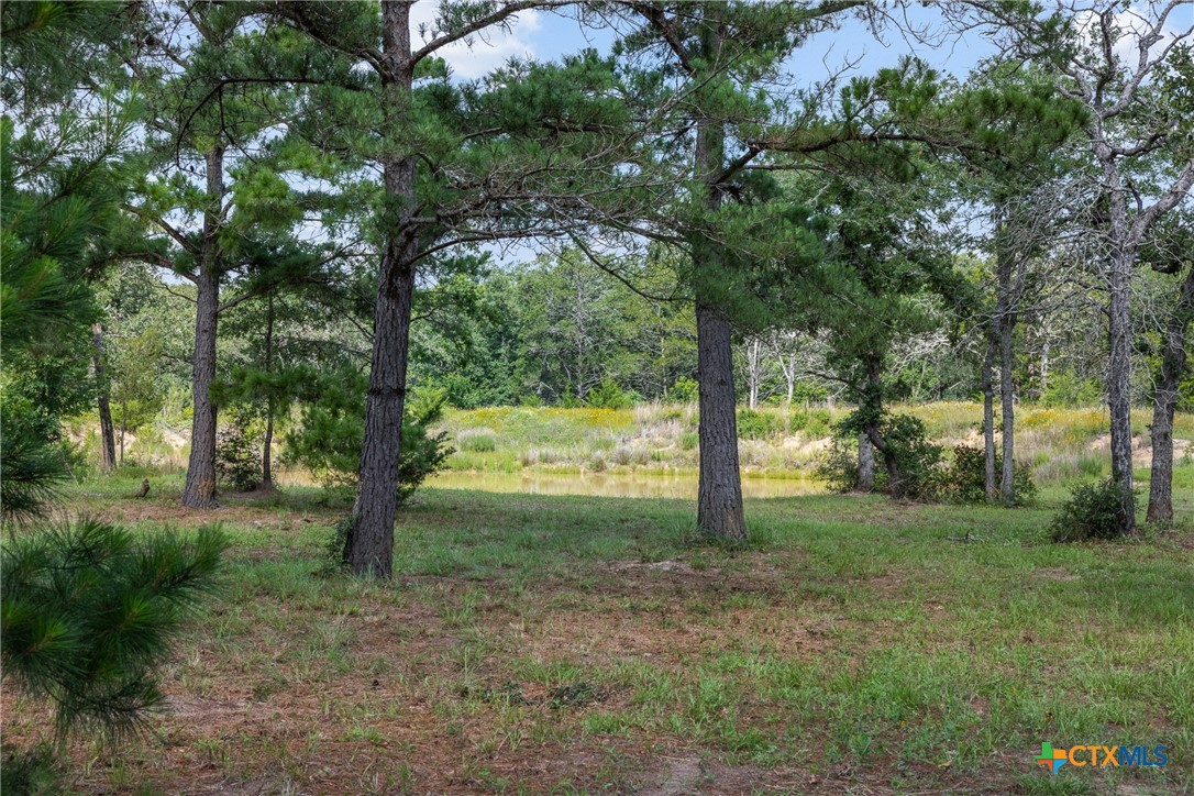 305 Cistern Road, Rosanky, TX 78953 — photo 1