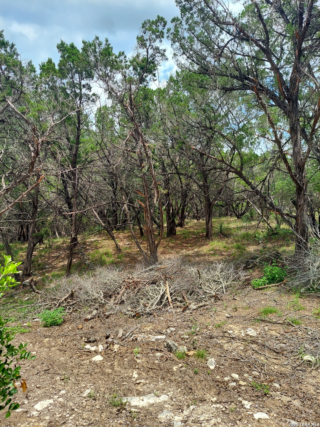 LOT 10 Canyon, Lakehills, TX 78063 — photo 1