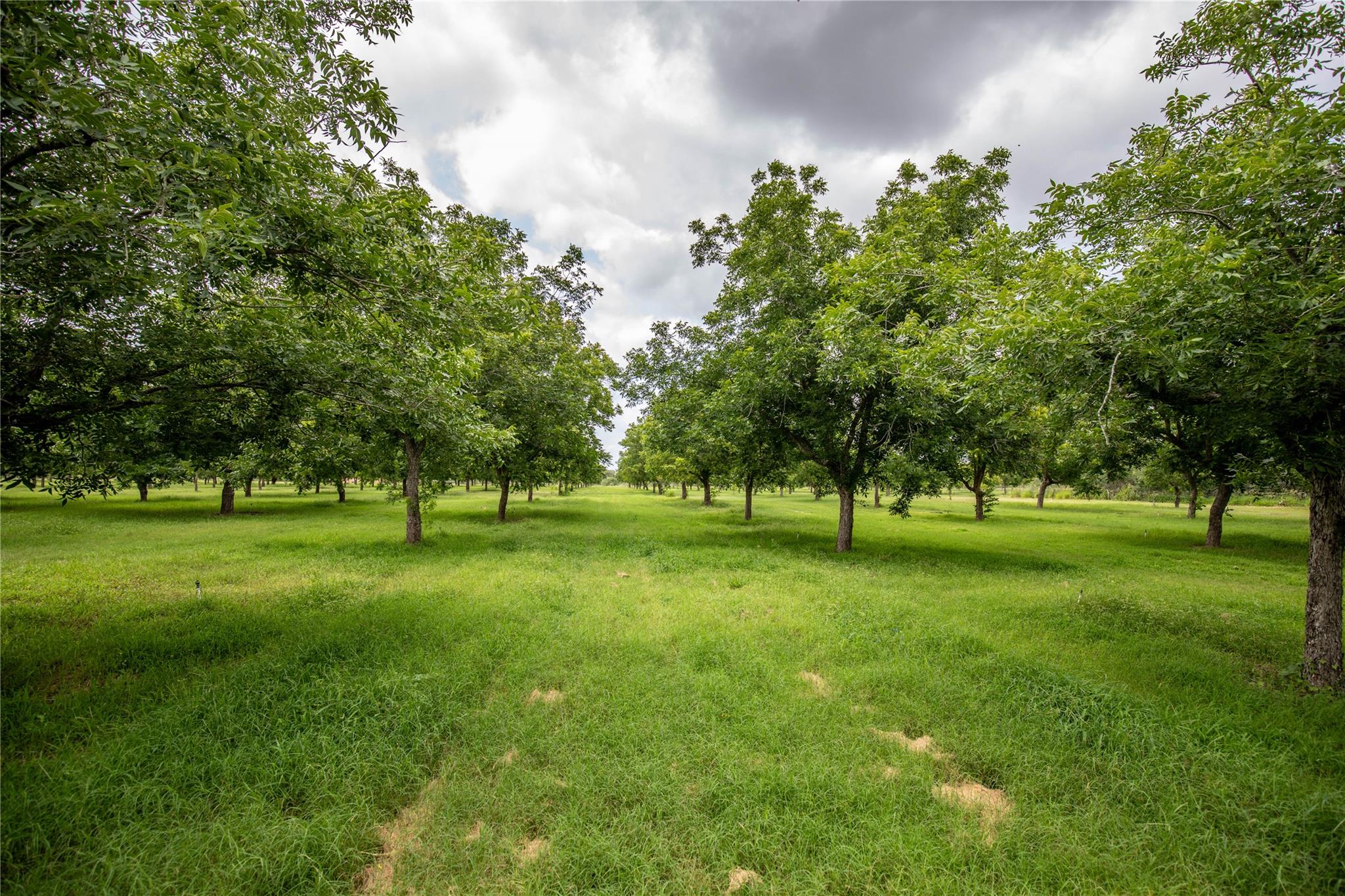 2432 County Road 402 B