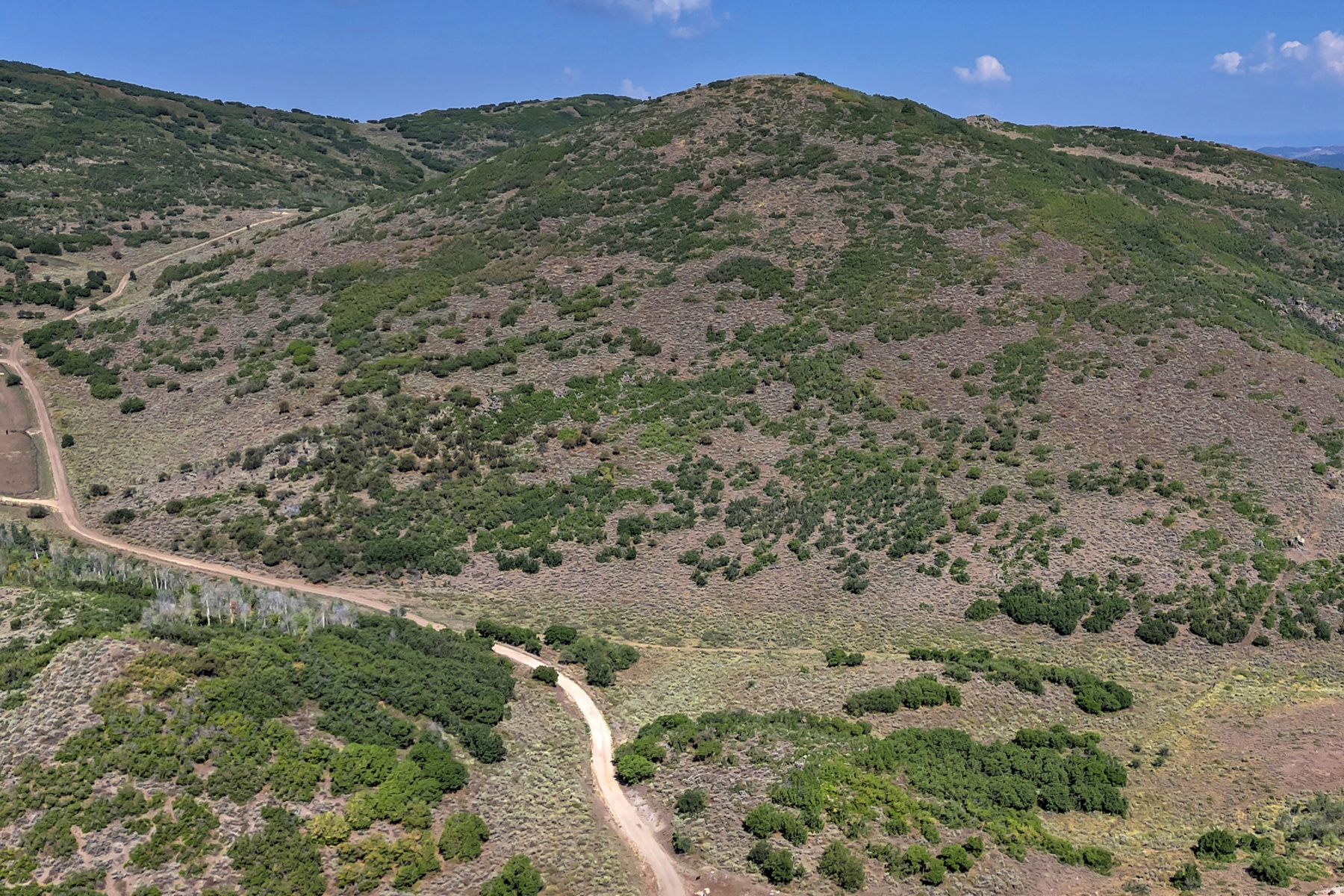 1646 N MILES HOLLOW RD, Kamas, UT 84036 — photo 1