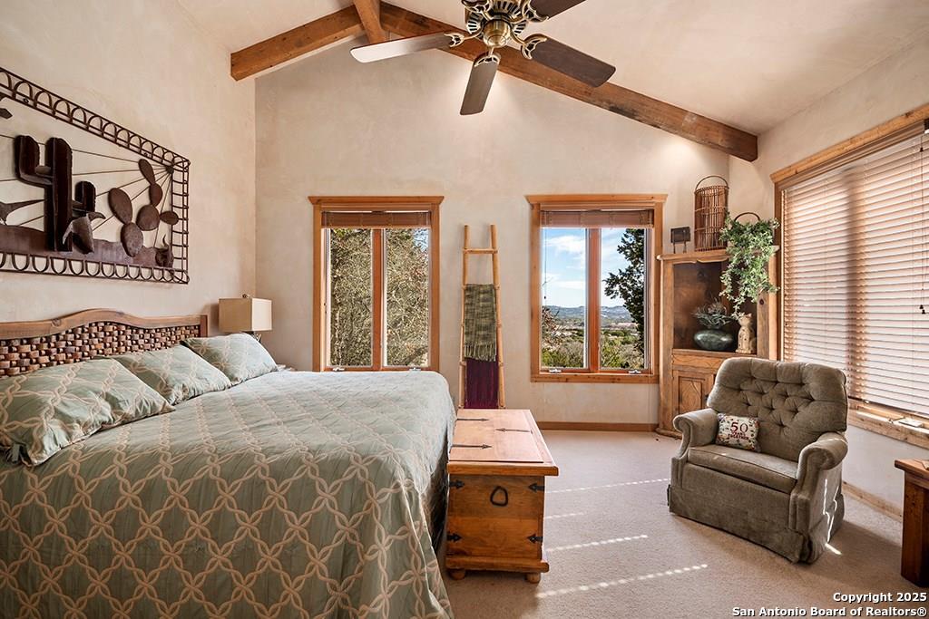 260 Chinaberry Lane, Fredericksburg, TX 78624 — photo 1
