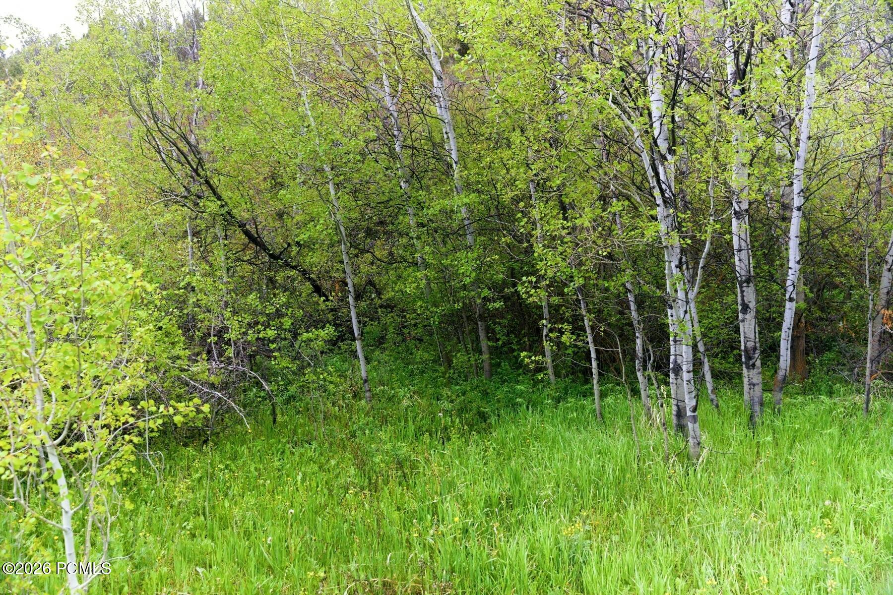 1937 Ut-150 Lot 154 154, Kamas, UT 84036 — photo 1