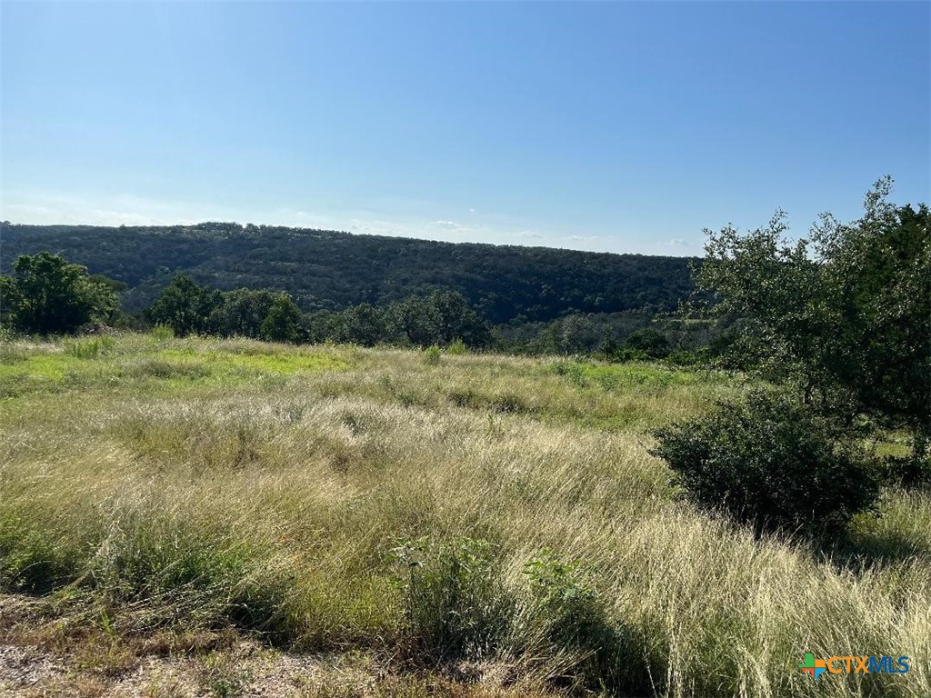 904 Indian Ridge, New Braunfels, TX 78132 — photo 1