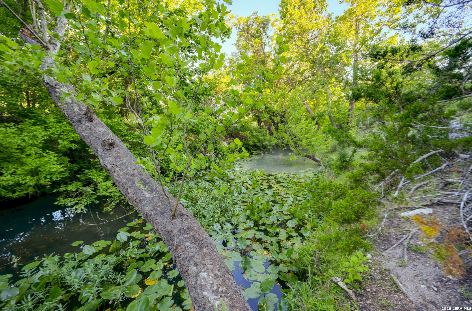 315 RITTIMANN RD, ,  78070 — photo 1