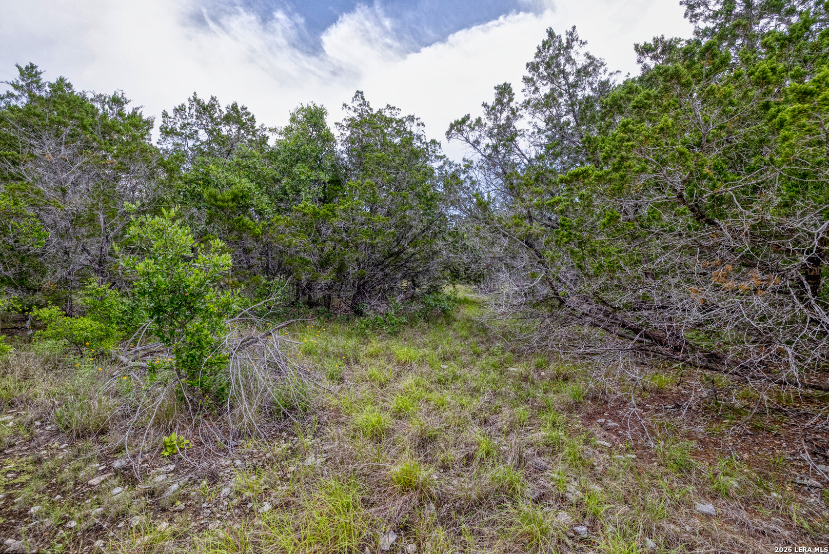 LOT 154 1796 Ranch, ,  78850 — photo 1