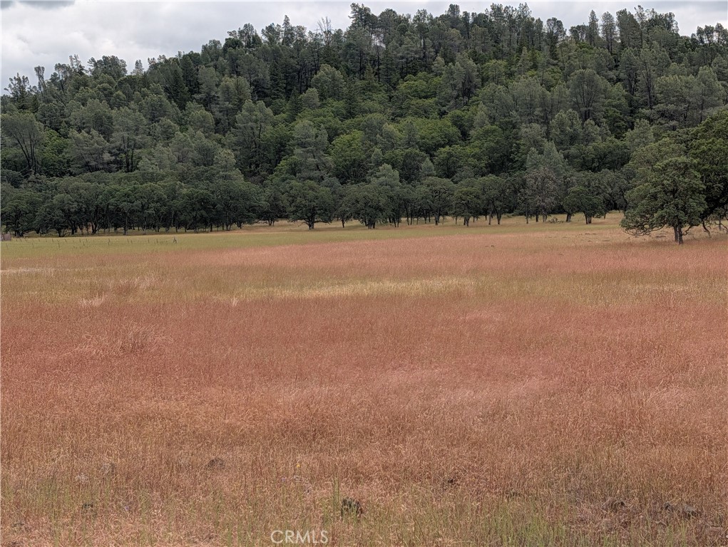 19905 Jerusalem Grade, Lower Lake, CA 95457 — photo 1