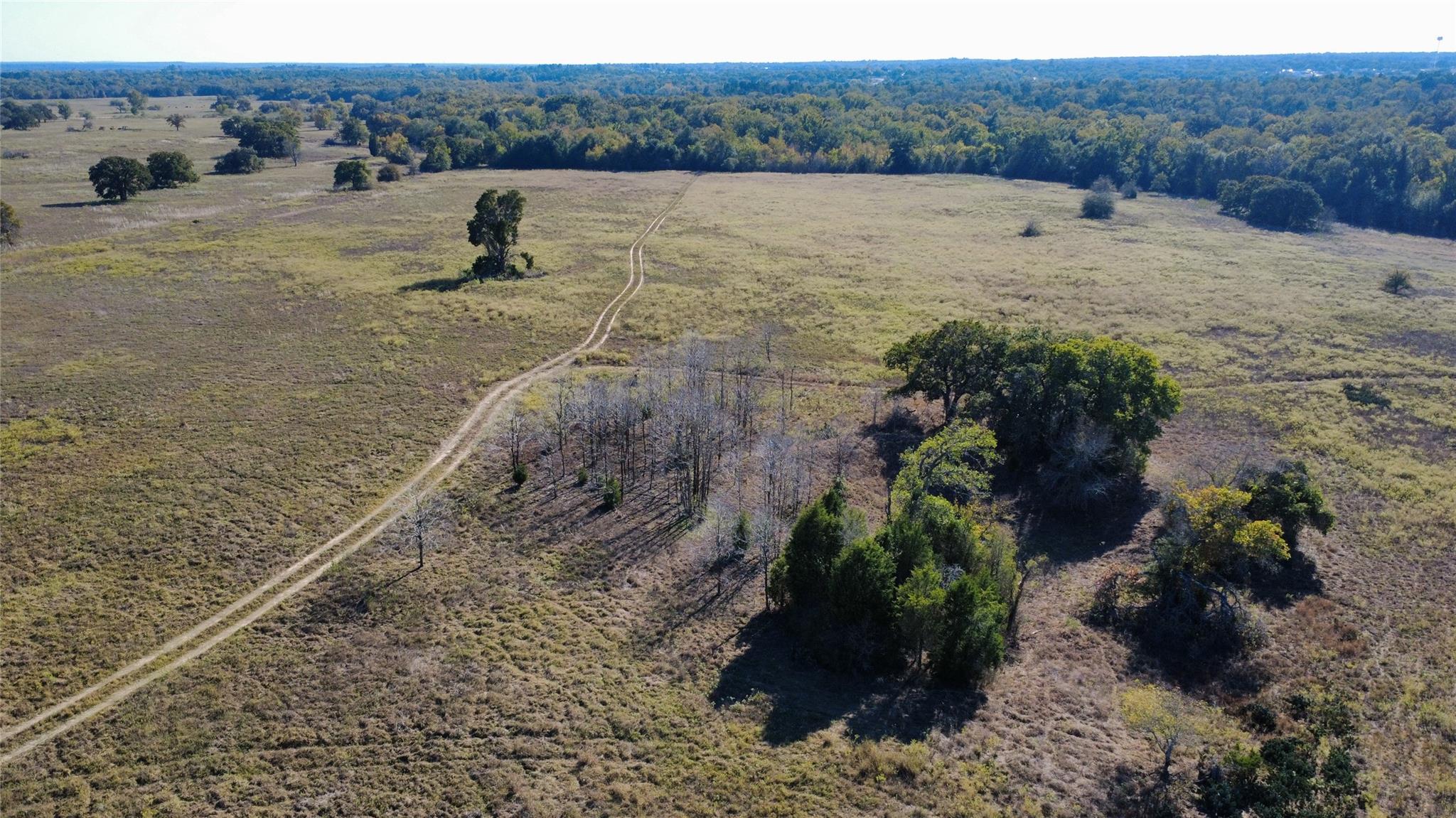 196 Brinkley, Elgin, TX 78621 — photo 1