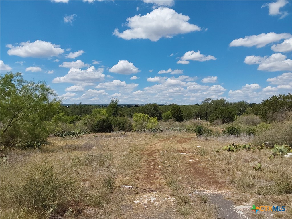 LOT 201 SUNDANCE VIEW Point, Spicewood, TX 78669 — photo 1