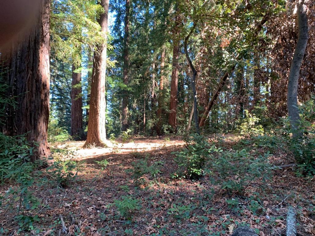 1 Santa Ana Road, Los Gatos, CA 95033 — photo 1