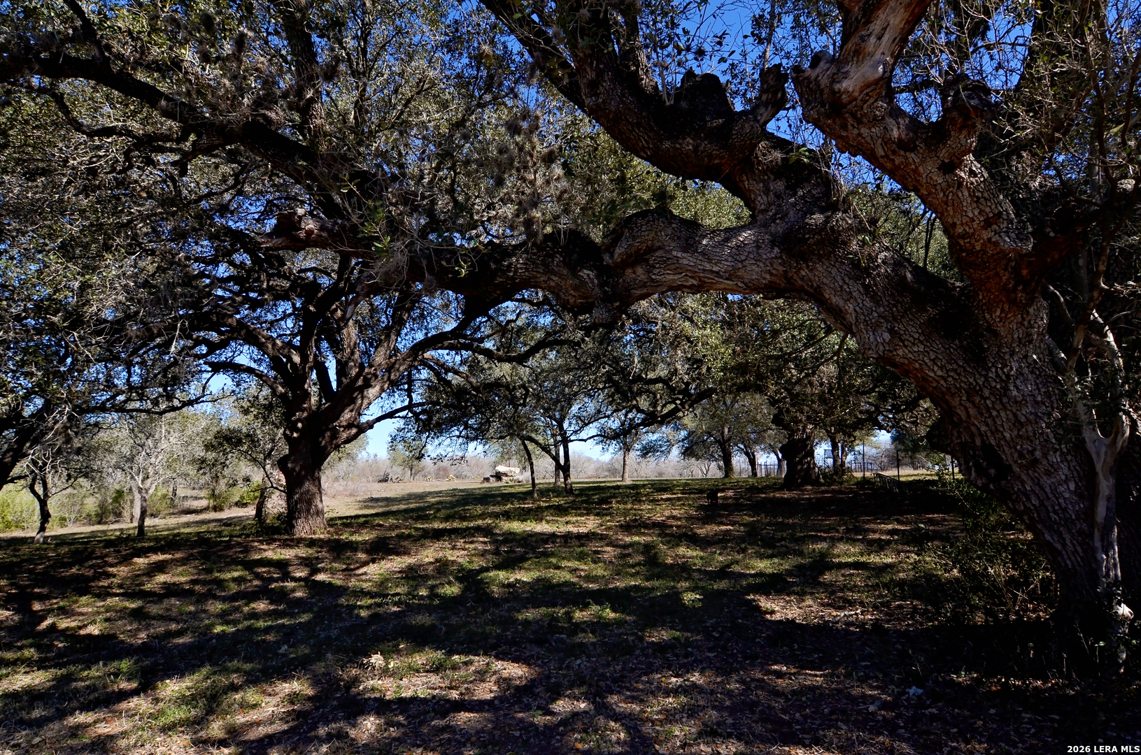 TBD Highway 181, Beeville, TX 78102 — photo 1