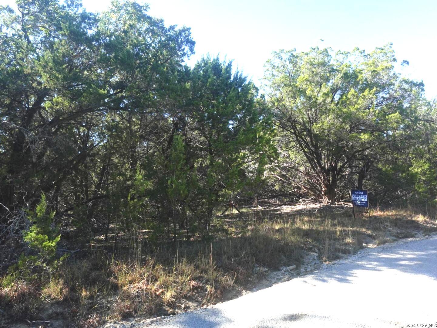 110 Estates, , 78676 — photo 1