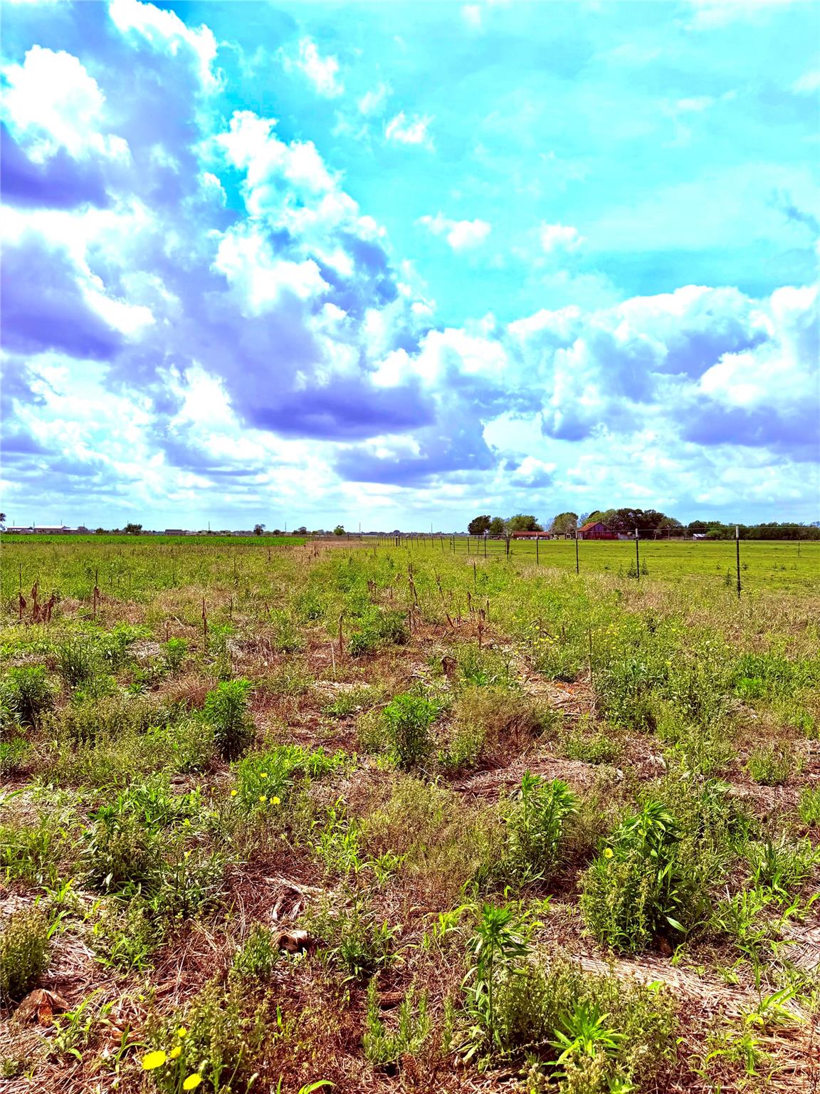 4421 Polak Rd, Orchard, TX 77485 — photo 1