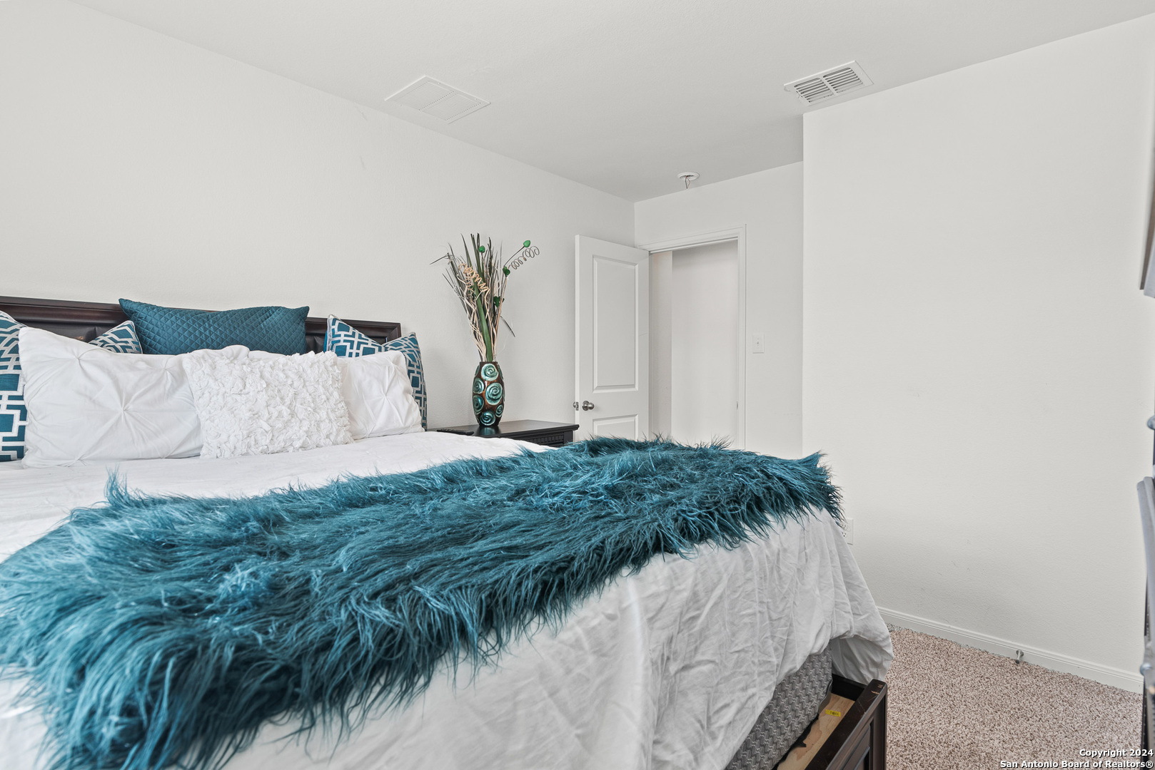 13222 blue flame, ,  78245 — photo 1