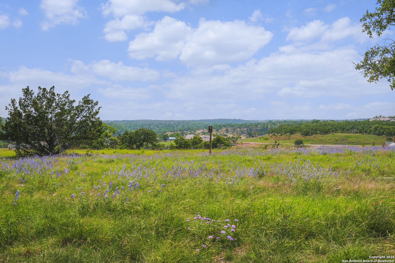 LOT 625 Eldorado Ridge Drive, ,  78624 — photo 1