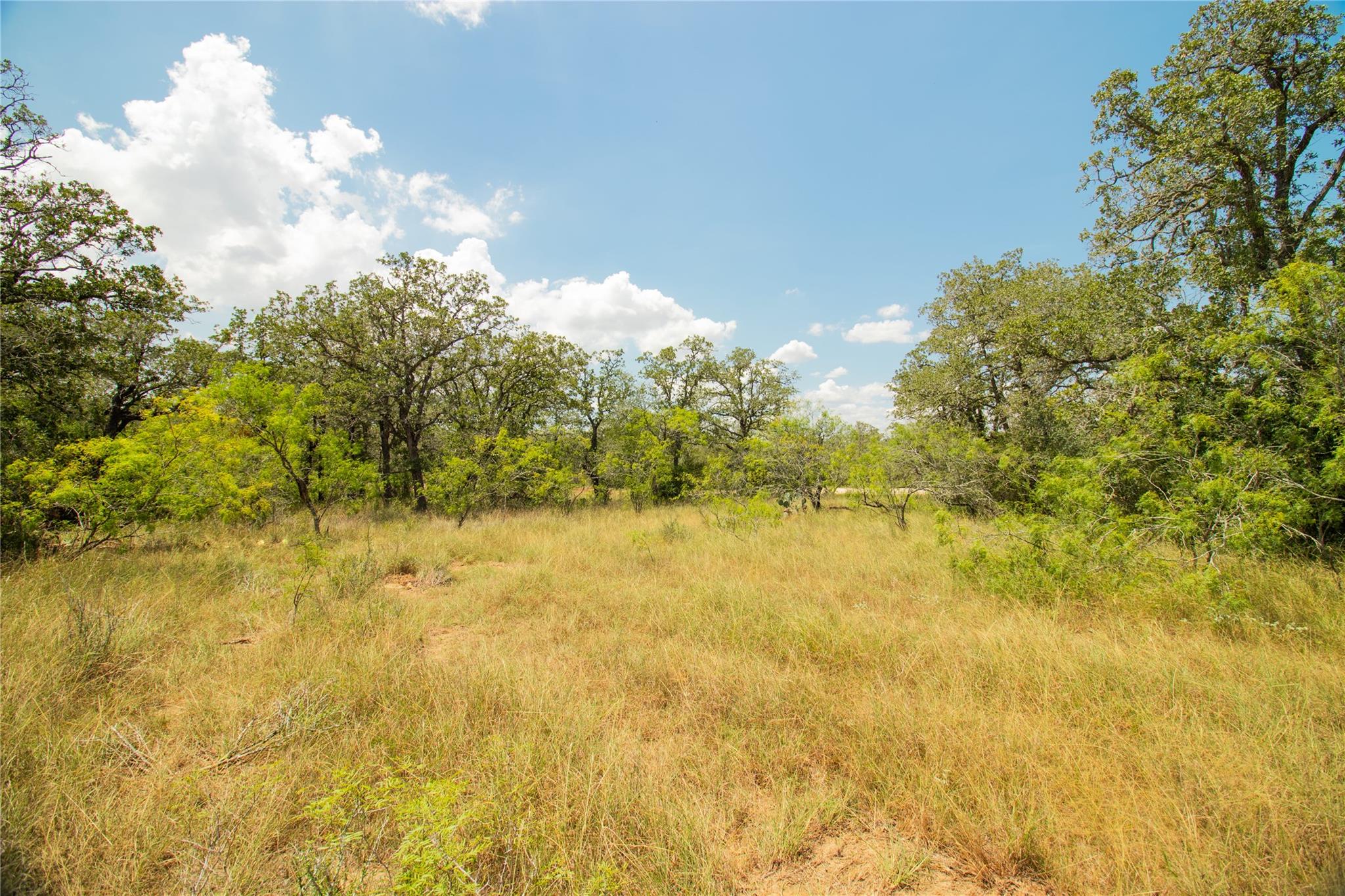 9057 Sycamore Shade, Kingsbury, TX 78155 — photo 1