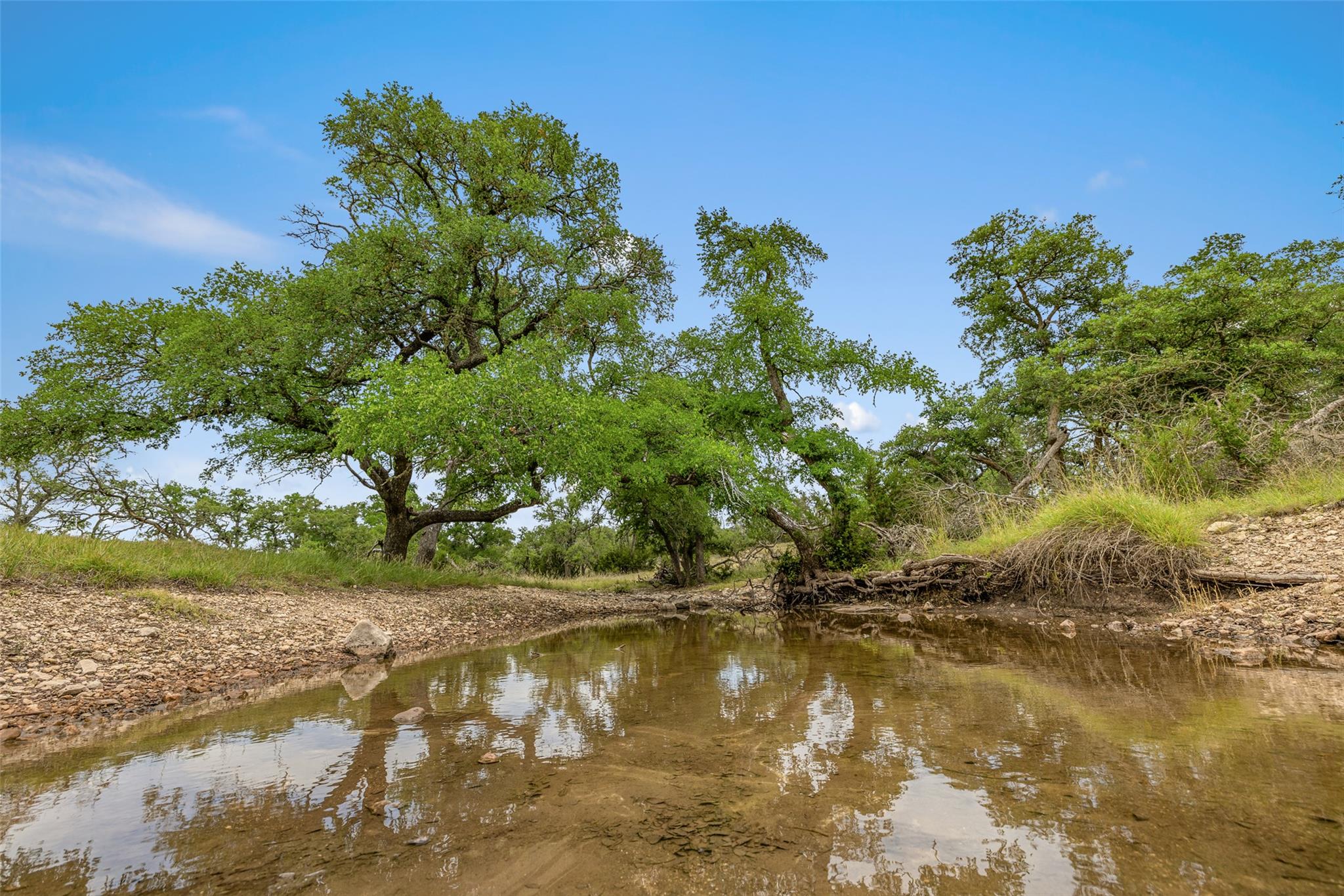 65 Miles Lane, Harper, TX 78631 — photo 1