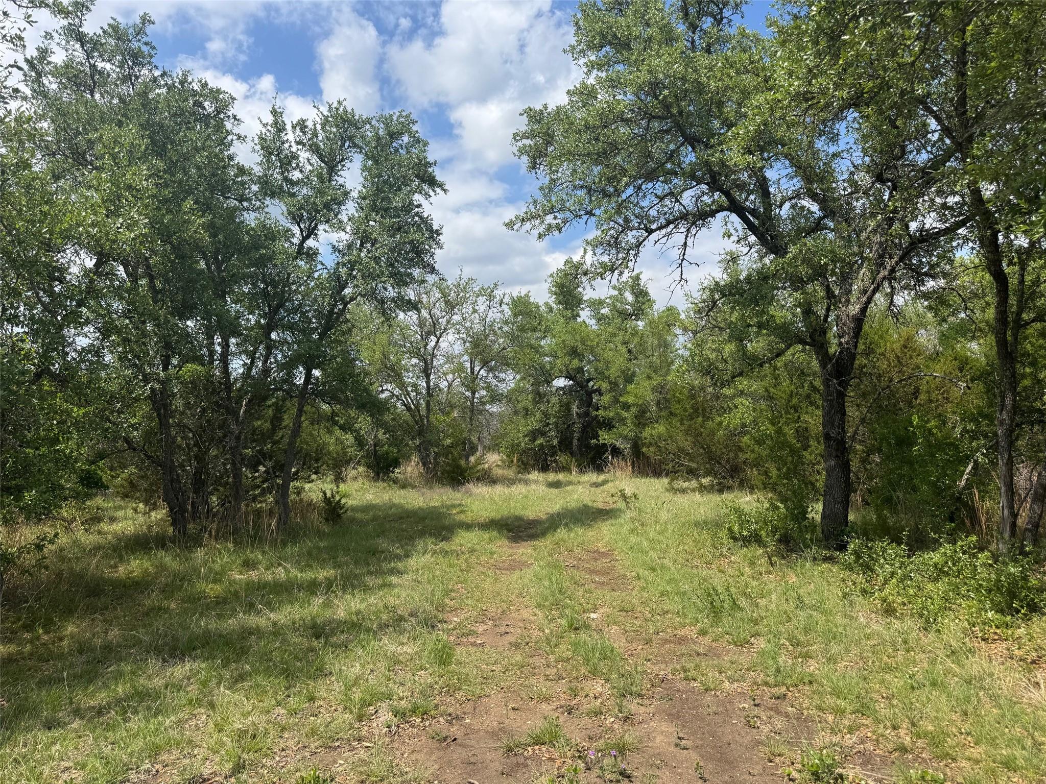 Lot 41 Maverick, Briggs, TX 78608 — photo 1