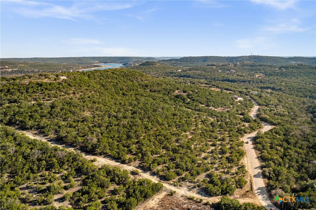 10678 Deer Canyon Road, Jonestown, TX 78645 — photo 1