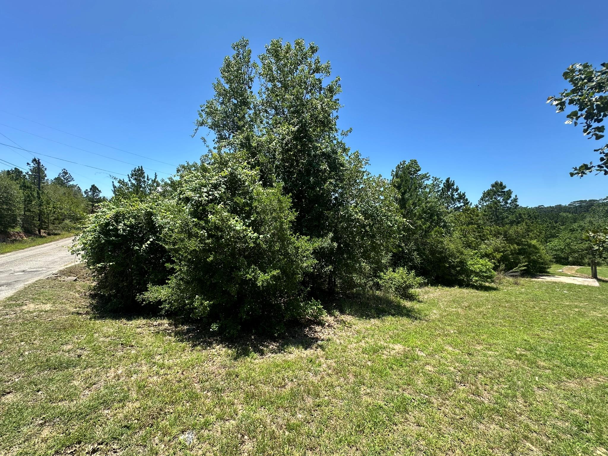 000 Manawianui, Bastrop, TX 78602 — photo 1