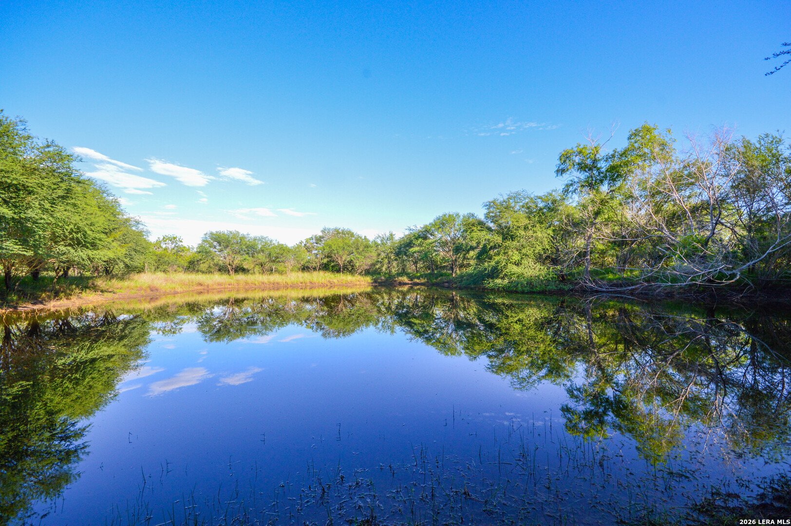 TBD CR 426, Pleasanton, TX 78064 — photo 1