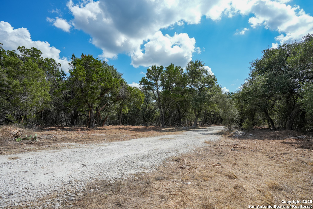 330 rayner ranch, , 78070 — photo 1