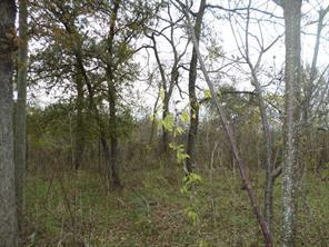 394 FM 112, Thrall, TX 78947 — photo 1