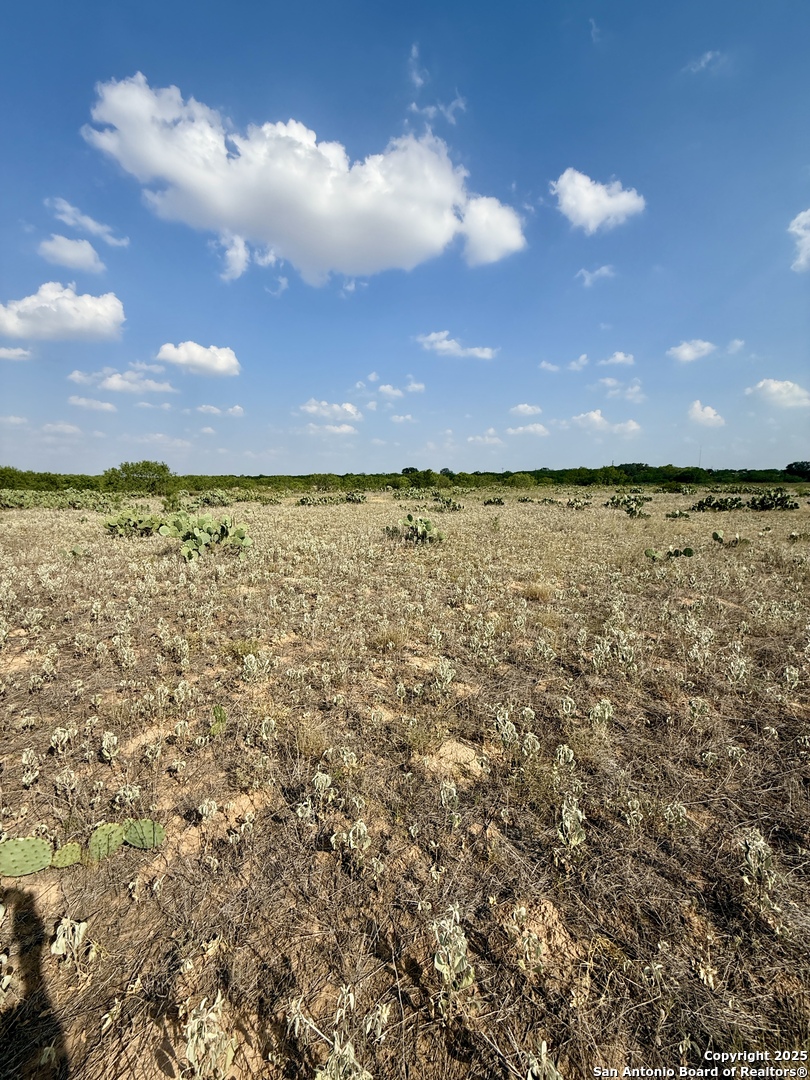 TBD LOT 62 Cr 1647, ,  78057 — photo 1