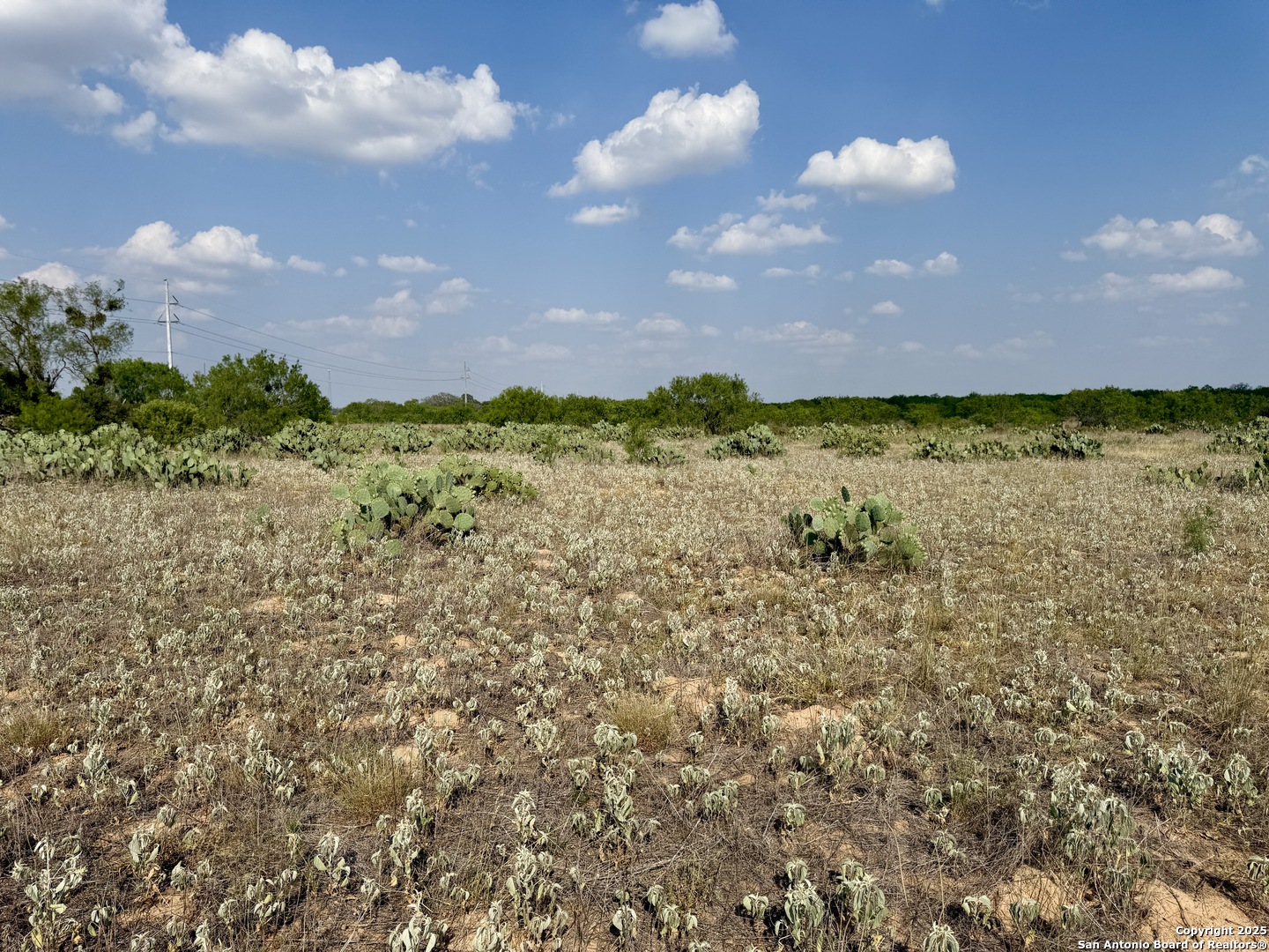 TBD LOT 61 CR 1647, ,  78057 — photo 1