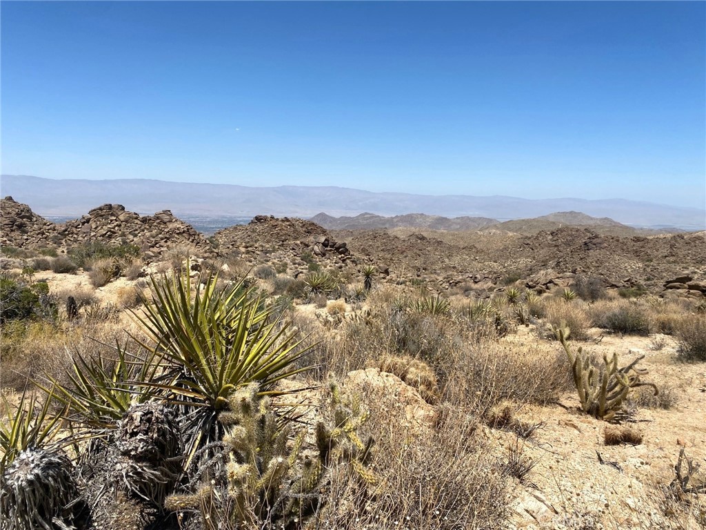 15 Desert Calico Way, Mountain Center, CA 92260 — photo 1