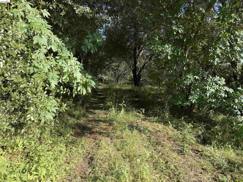4320 Usona Rd, Mariposa, CA 95338 — photo 1