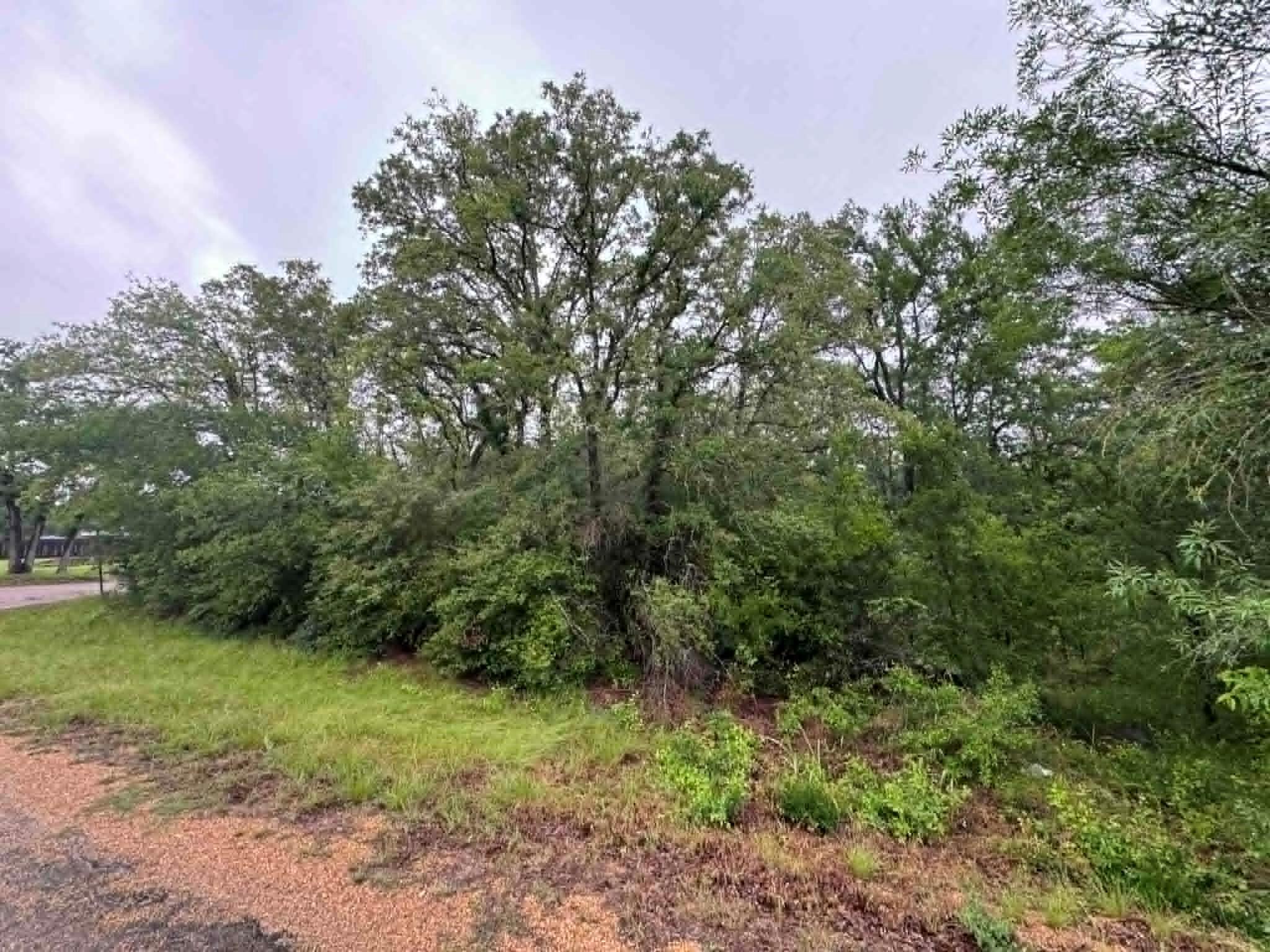 319 Shady Oak