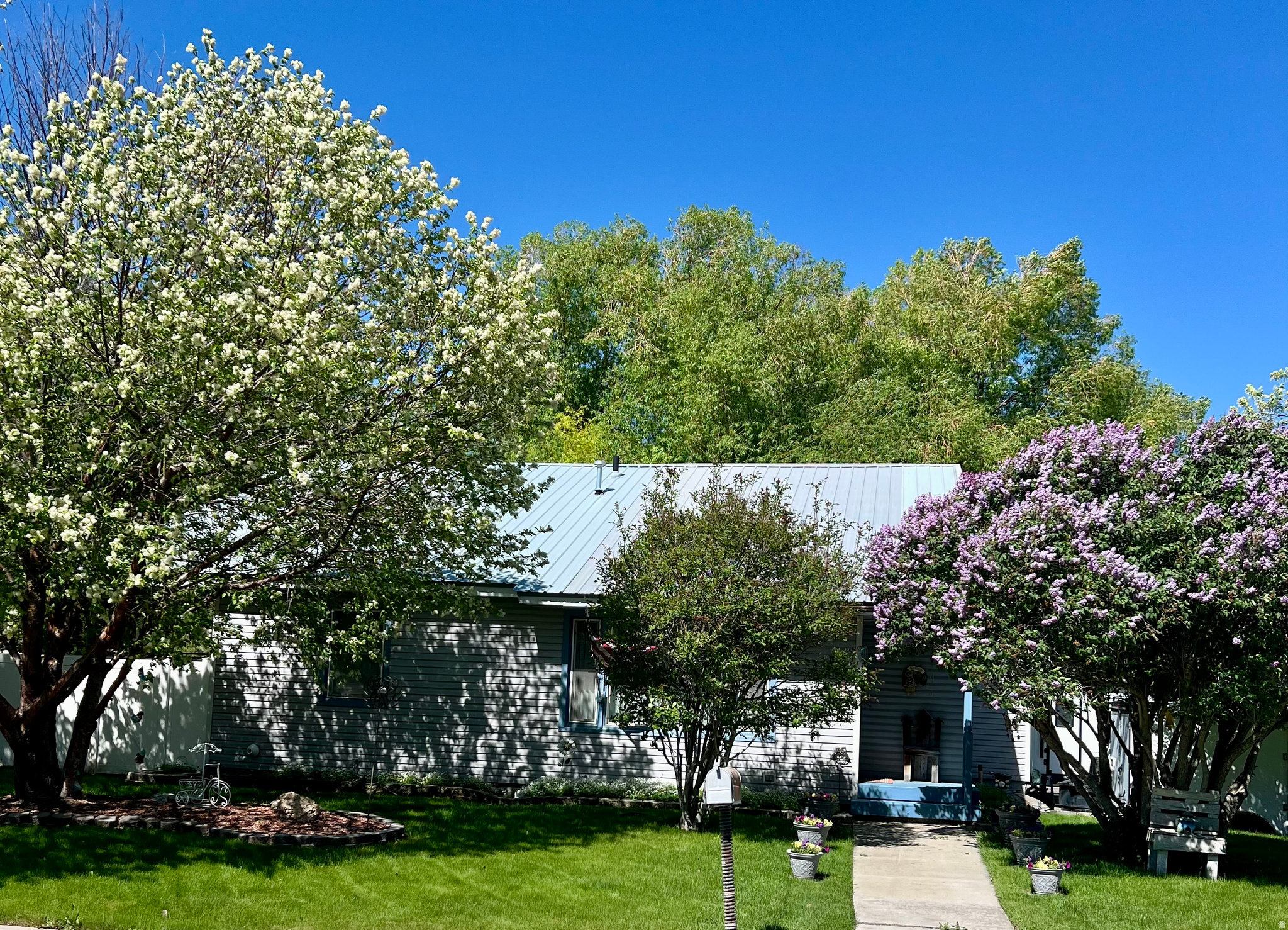 329  MONSANTO BLVD