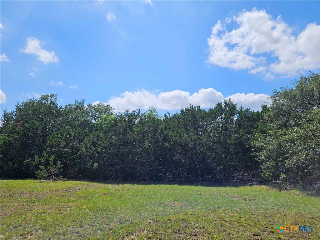 LOT 14 Cielo Springs Drive, Blanco, TX 78606 — photo 1